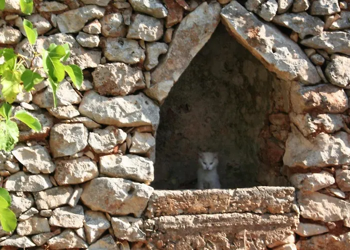 Bed & Breakfast Casa Eduardo 3*