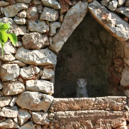 Bed & Breakfast Casa Eduardo 3*